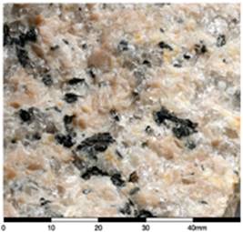 Equigranular medium-grained granite